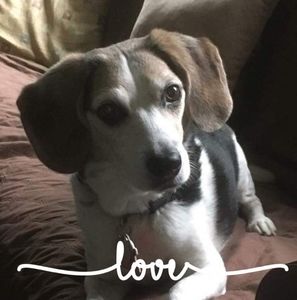 Meet your Posher, Dody